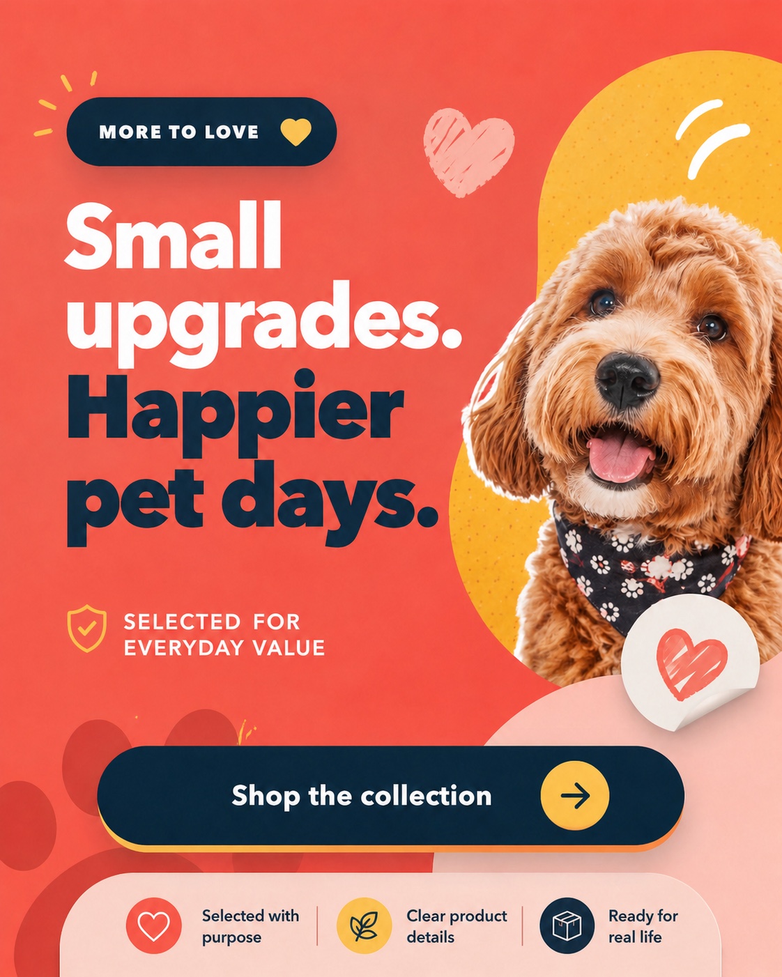 More to love: small upgrades for happier pet days, selected for everyday value